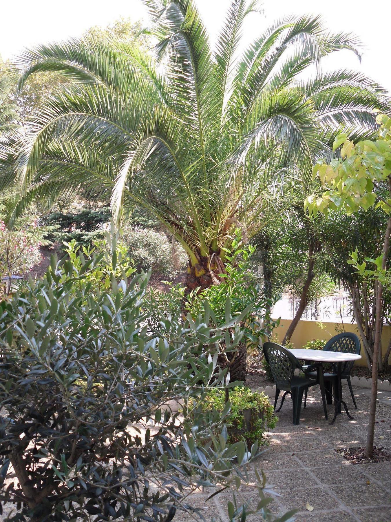Hotel Le Nid Argeles-sur-Mer Bagian luar foto