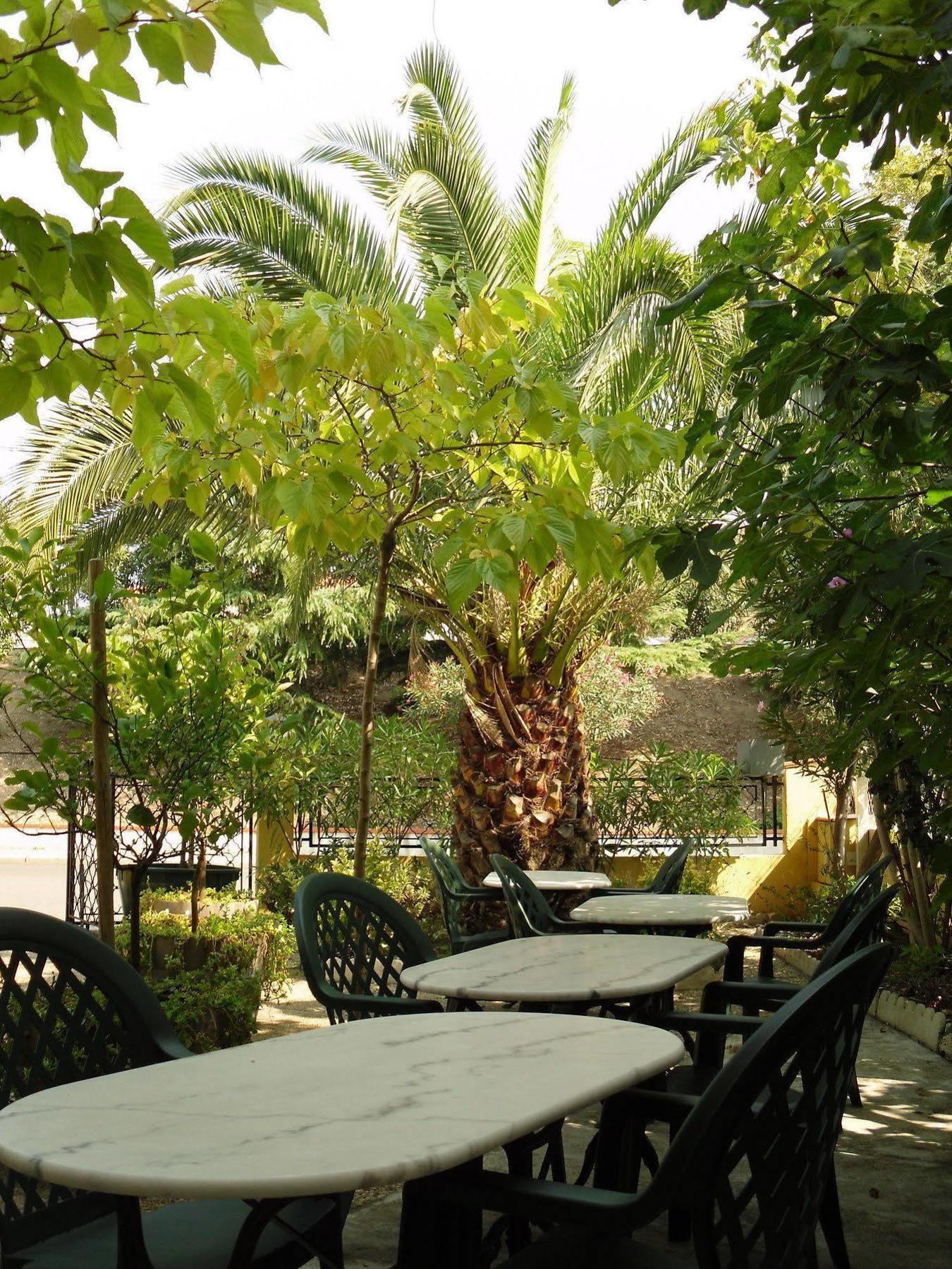 Hotel Le Nid Argeles-sur-Mer Bagian luar foto
